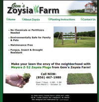 Gem’s Zoysia