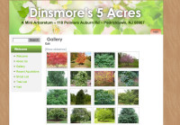 Dinsmore 5 Acres